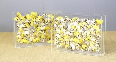 Lot 640 - A pair of contemporary perspex faux butterfly...