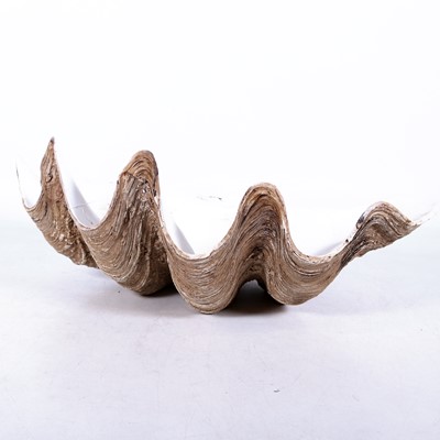 Lot 53 - A contemporary composite model of a giant clam...