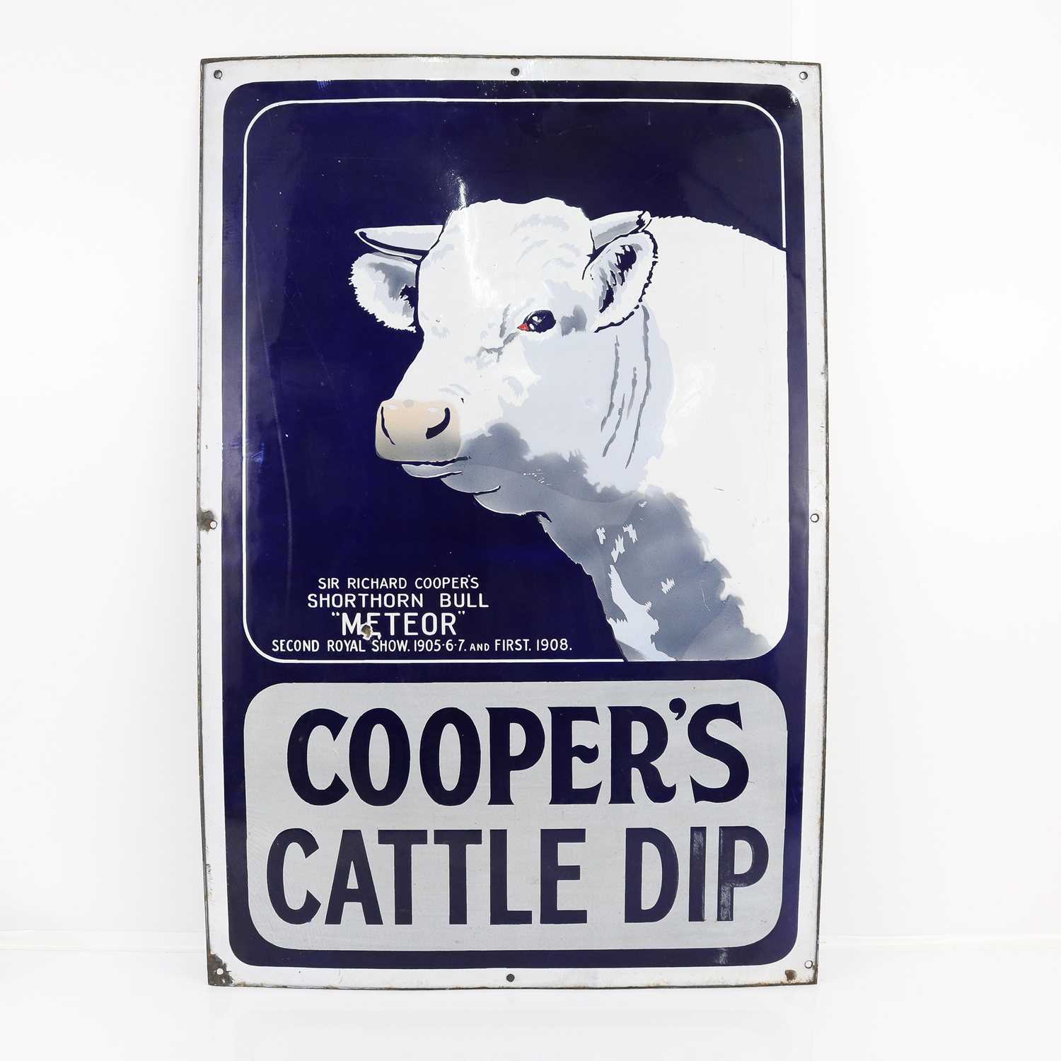 Lot 457 - A rare early 20th century enamel on metal...