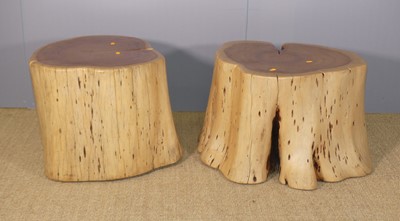 Lot 602 - A pair of contemporary hardwood tree stump...