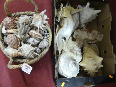 Lot 183 - A collection of shells and mineral specimens,...